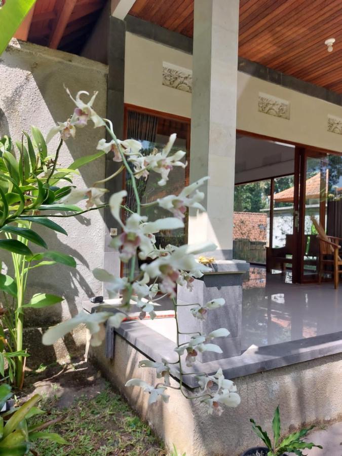 Pondok Kukuh Villa Sidemen Sidemen  Exterior foto